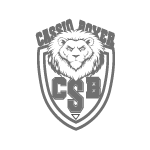 logo-cinza-150x150